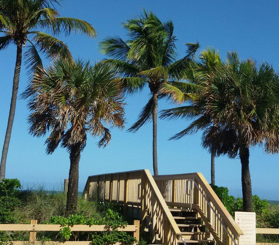 Hollywood Beach Broadwalk-好莱坞必去景点