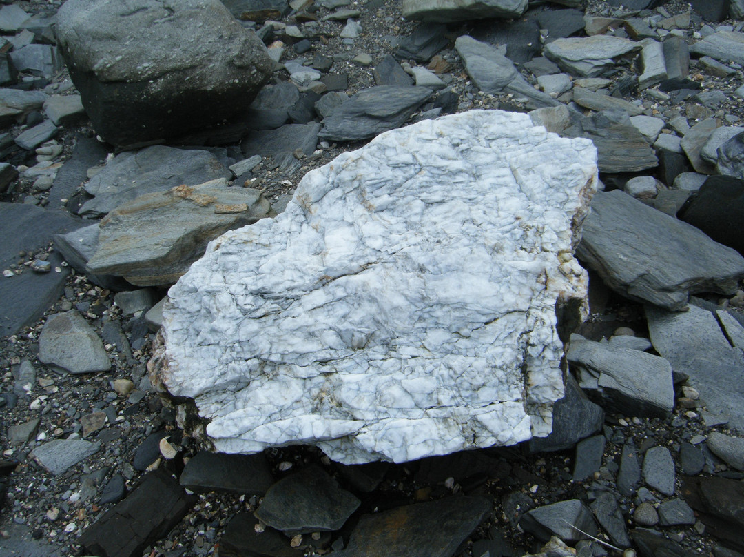 Dutch Island-Jamestown必去景点