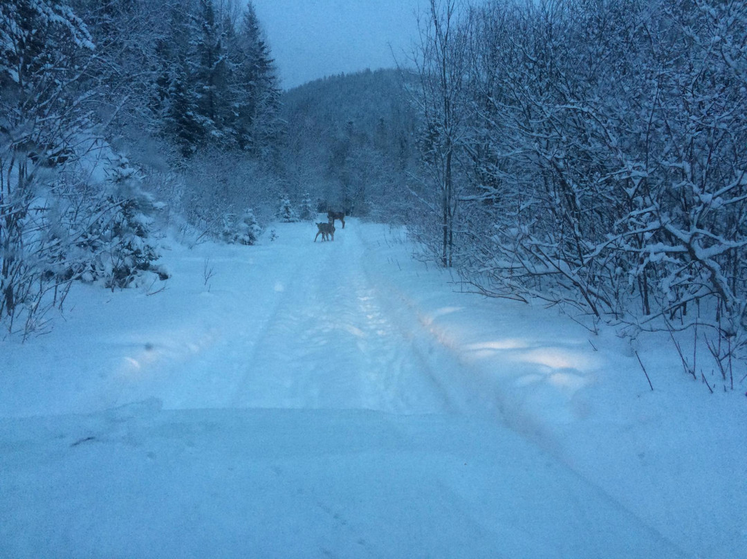 Auberge de la Coulée Douce主图