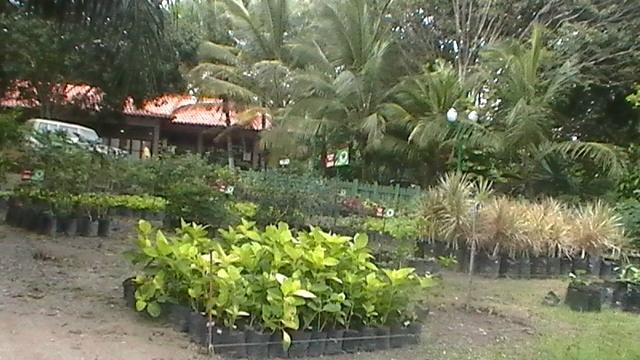 Parque Tematico Bosque Macuto景点图片