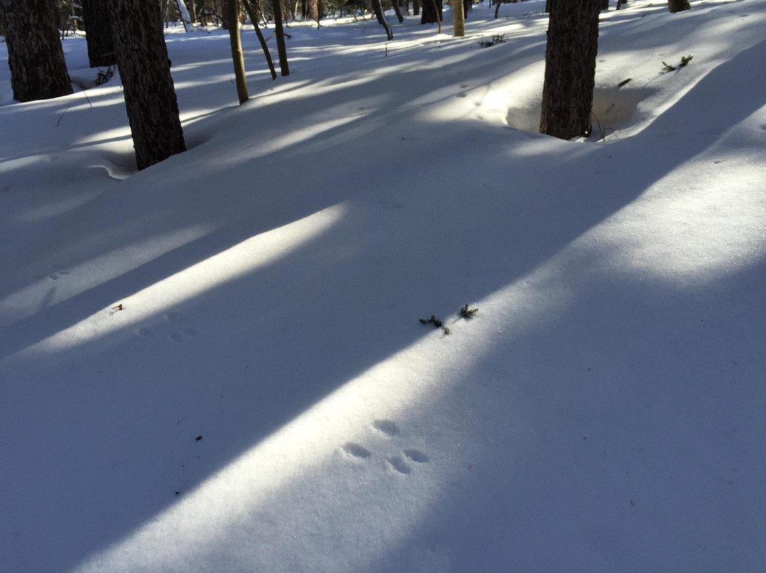 川湯生態博物館中心-弟子屈町必去景点