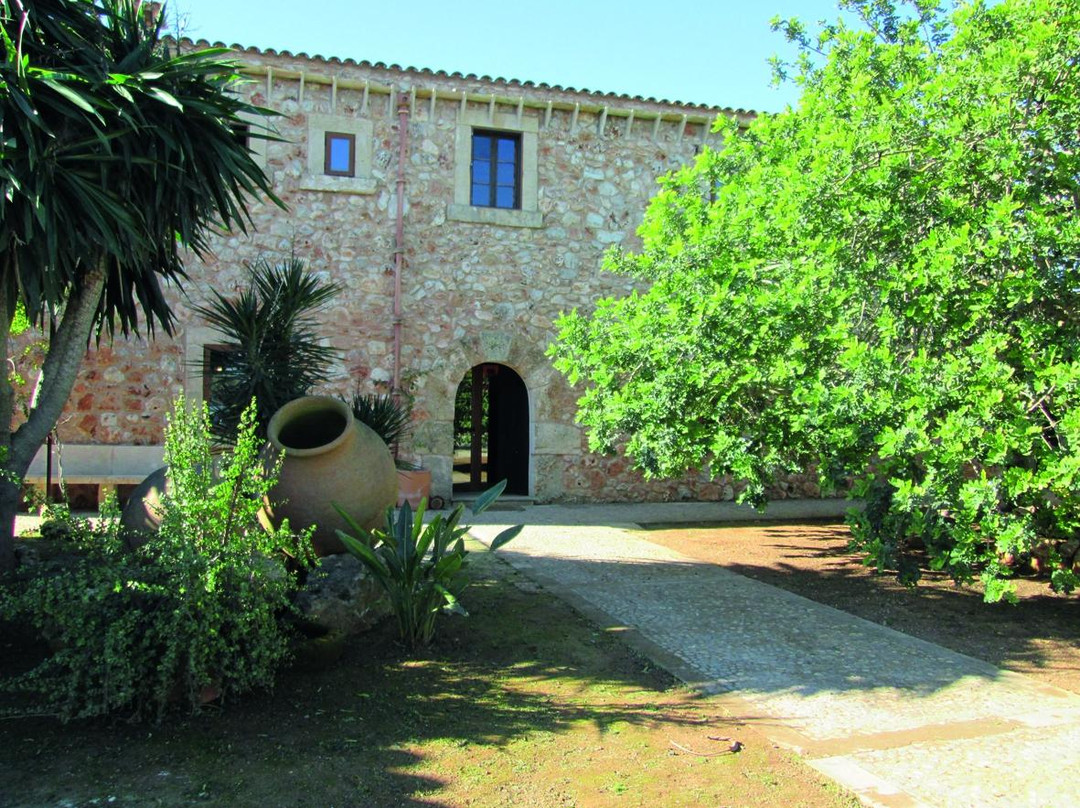 Finca Es Pinaretta