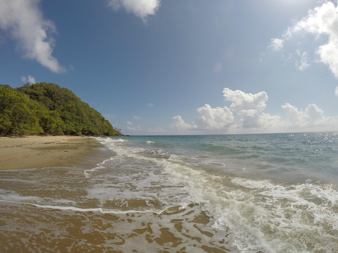 Tropical Sea Kayaks-Cow Bay必去景点
