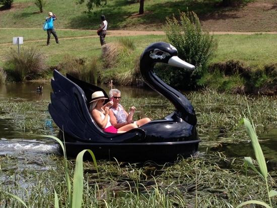 Richmond Park Boat House-Richmond必去景点