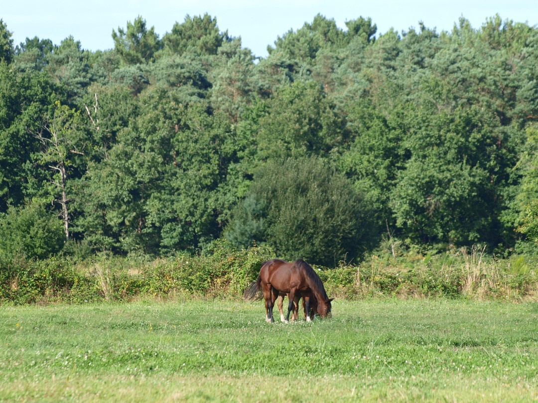 Au Parc aux Lievres主图