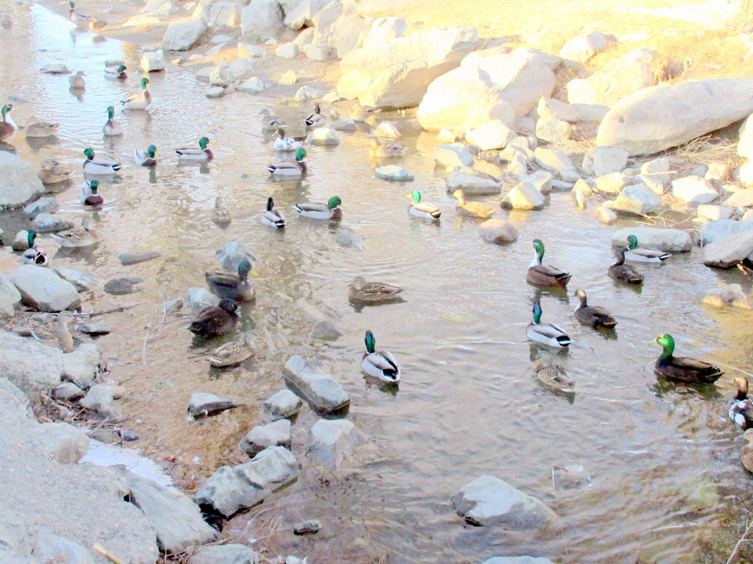 Lampe Park (County Park)-Gardnerville必去景点