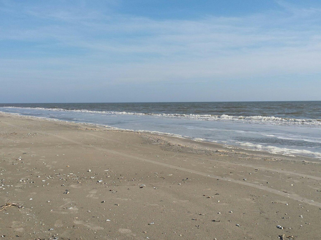 Holly Beach-Cameron必去景点