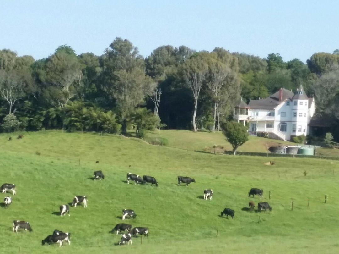 Puritawa Bed & Breakfast主图