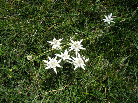 Refugio Pepe Garces主图