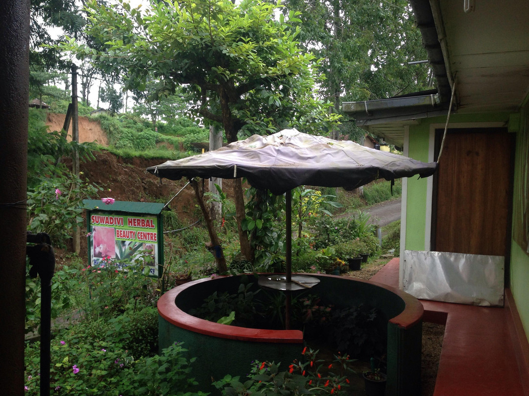 Suwadivi Ayurveda Natural Beauty Centre-埃勒必去景点