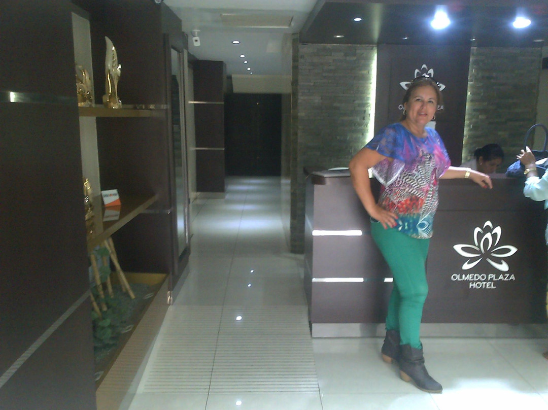 Olmedo Plaza Hotel主图
