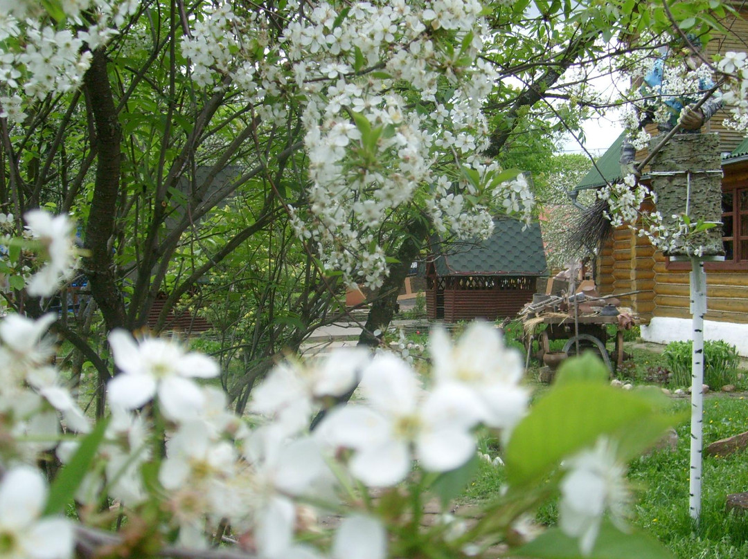 Hotel Complex Stary Dvor主图