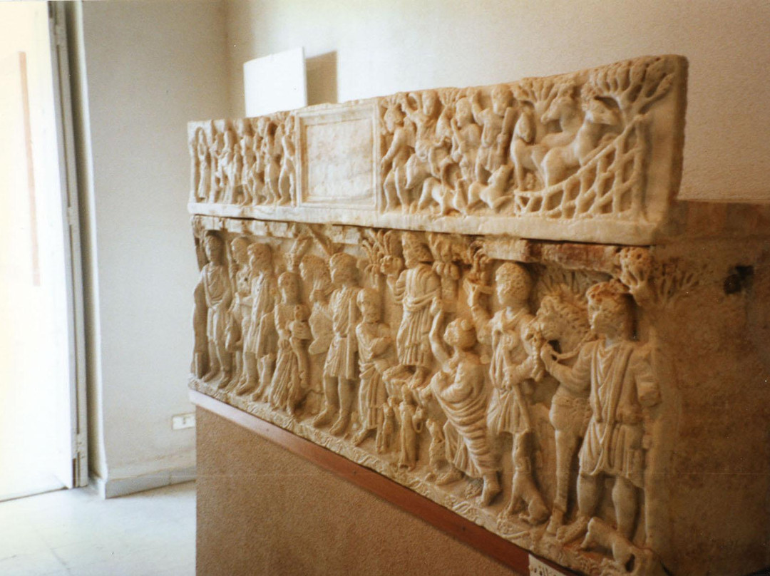 Lamta Archaeological Museum景点图片