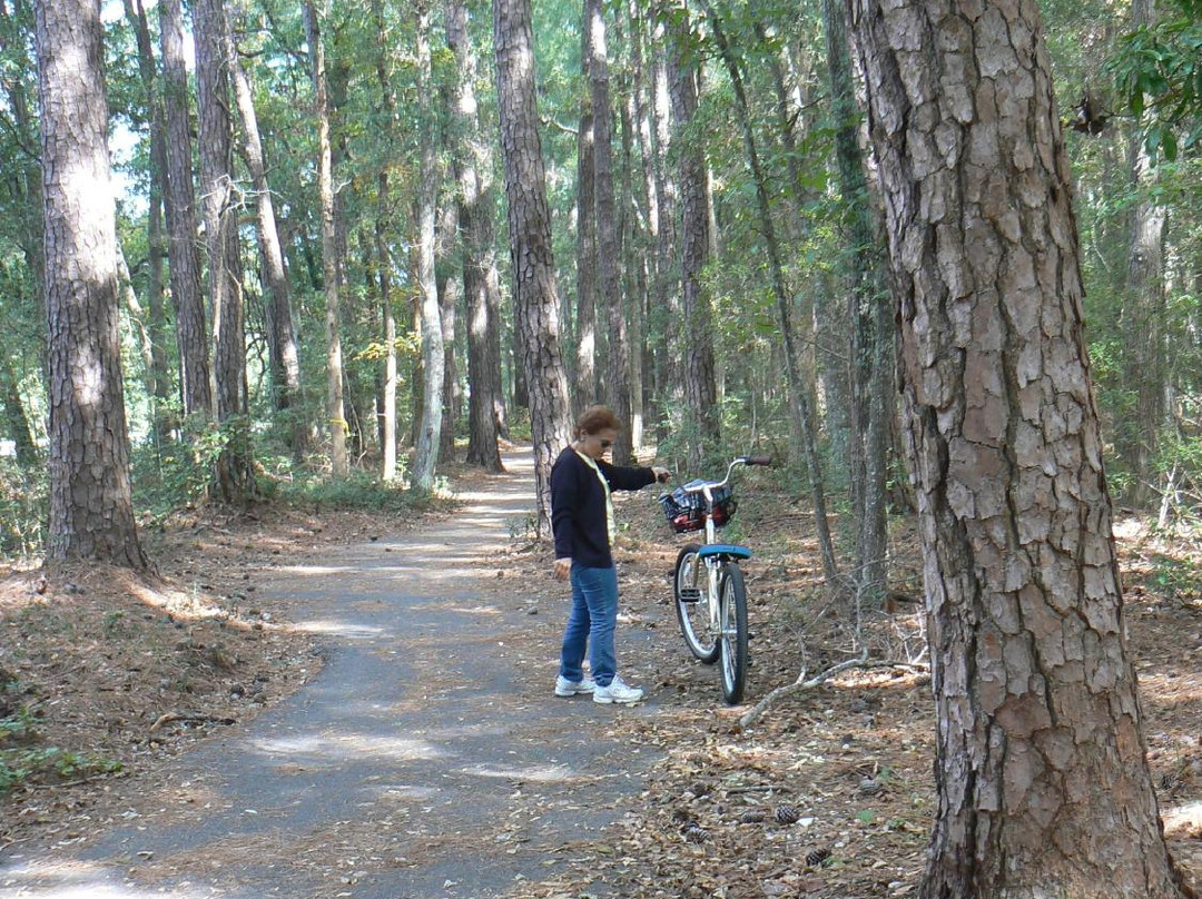 Waccamaw Neck Bikeway景点图片