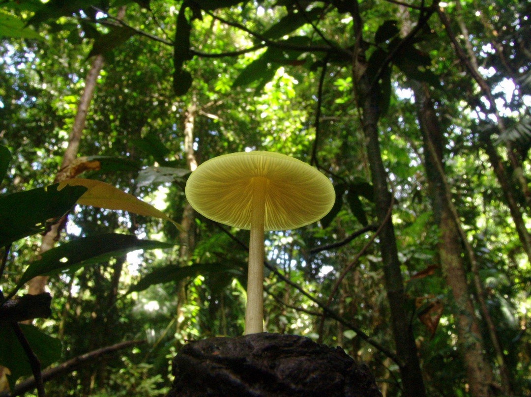 Venture Deeper-Mossman必去景点