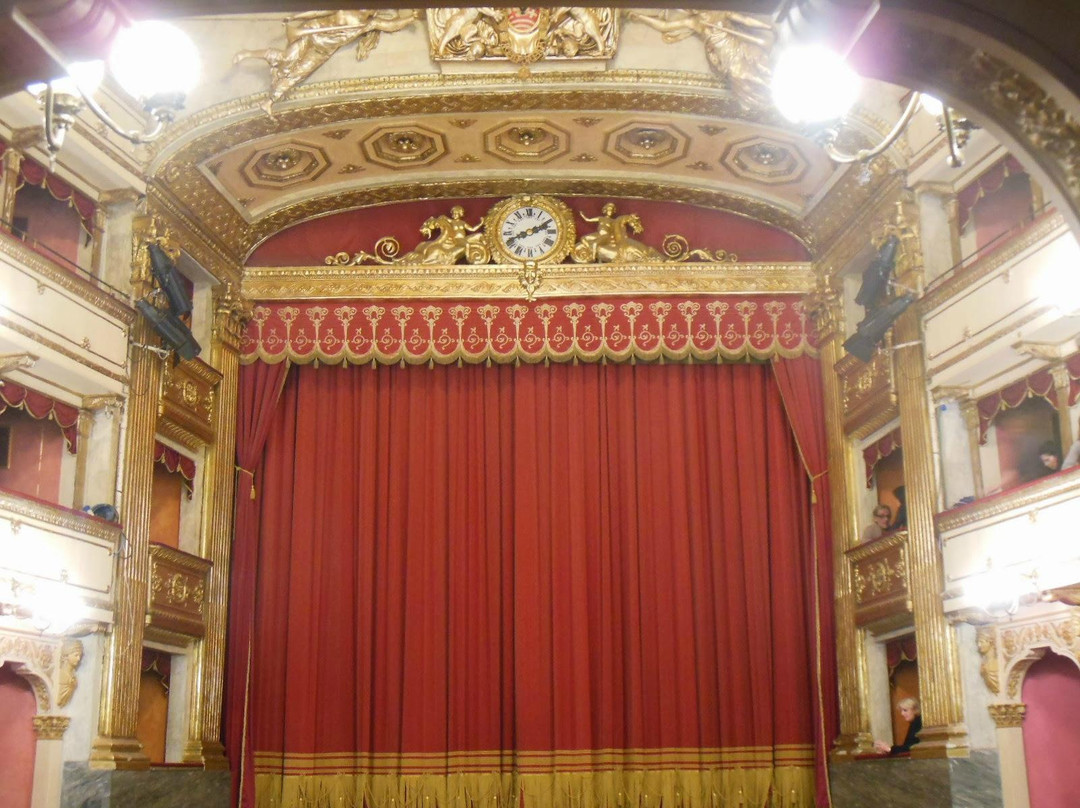 Teatro Toselli景点图片