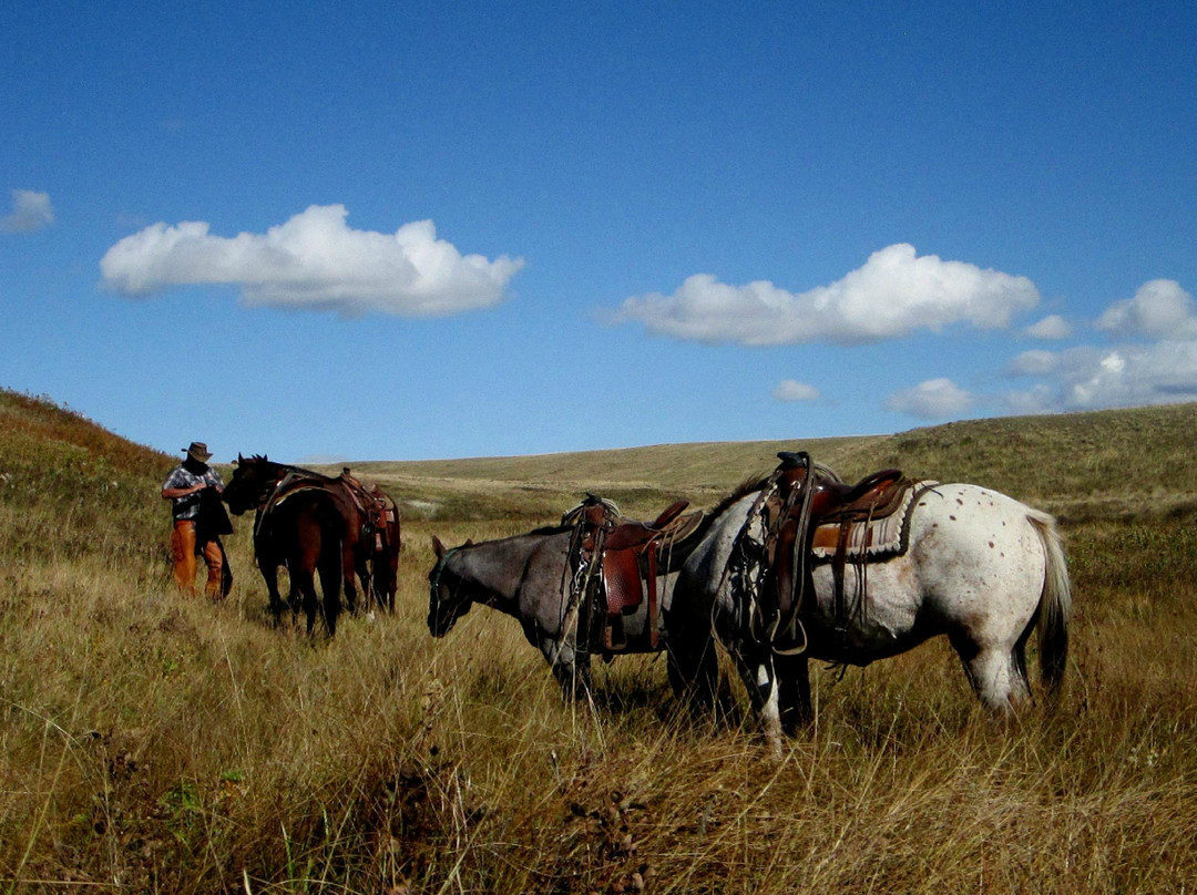 Rangeview Ranch