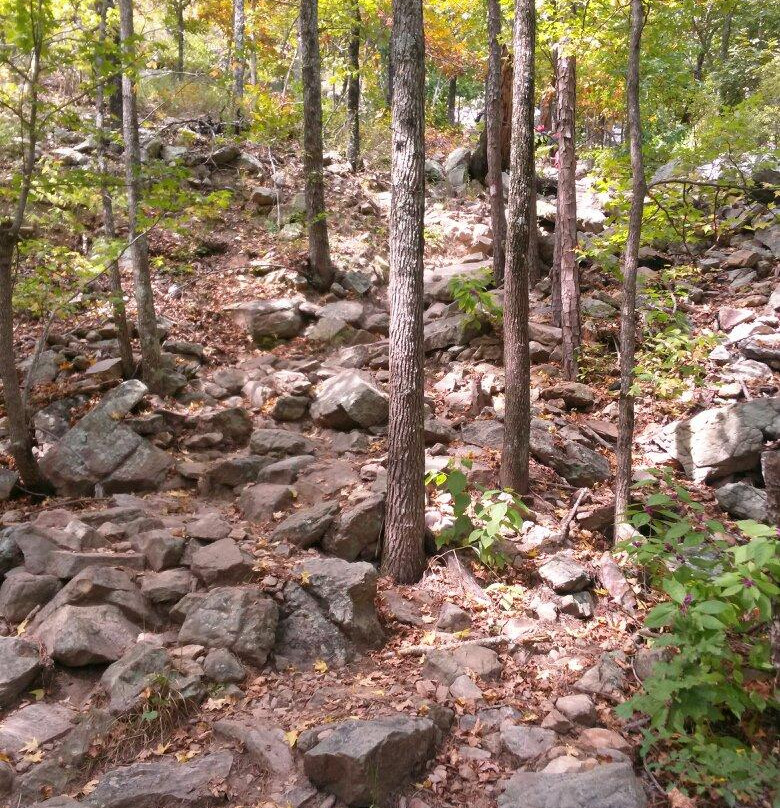 Maumelle Park-小石城必去景点