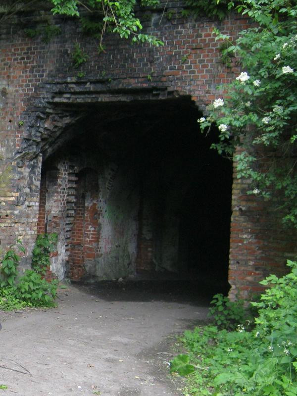 Fort IV Gneisenau景点图片