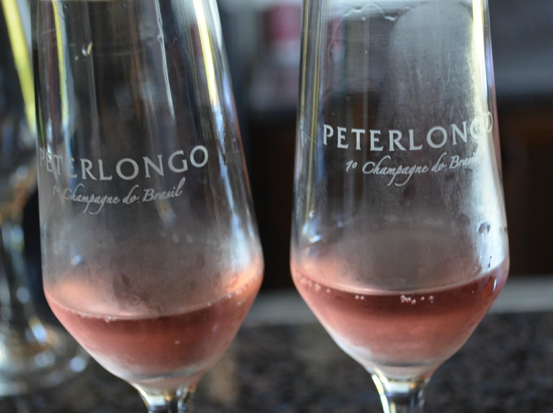 Vinicola Peterlongo景点图片
