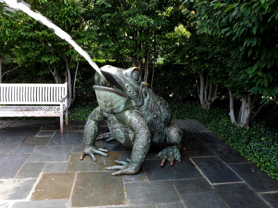 达拉斯植物园-达拉斯必去景点