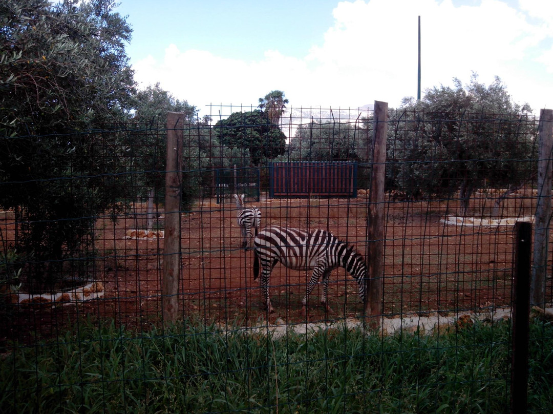 Bioparco Di Sicilia景点图片
