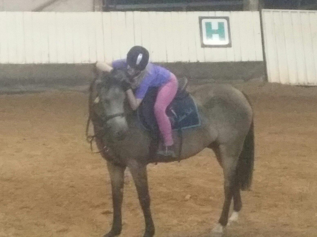 Dalson Park Indoor Equestrian Center景点图片