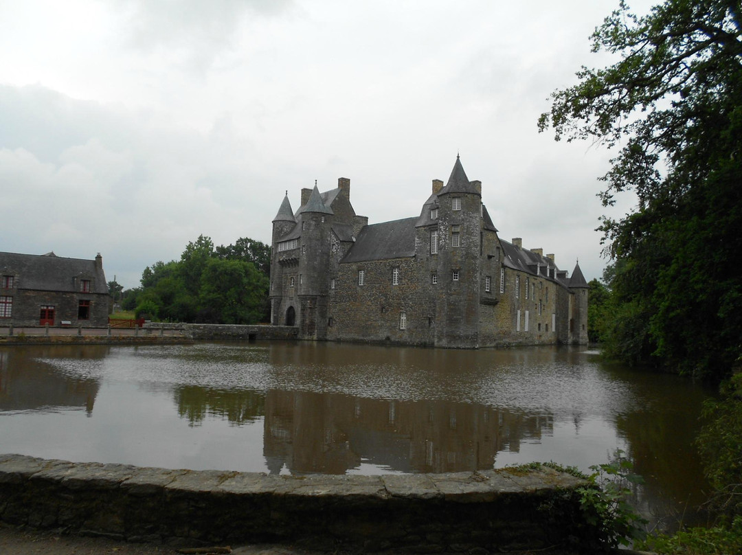 Chateau de Trecesson景点图片