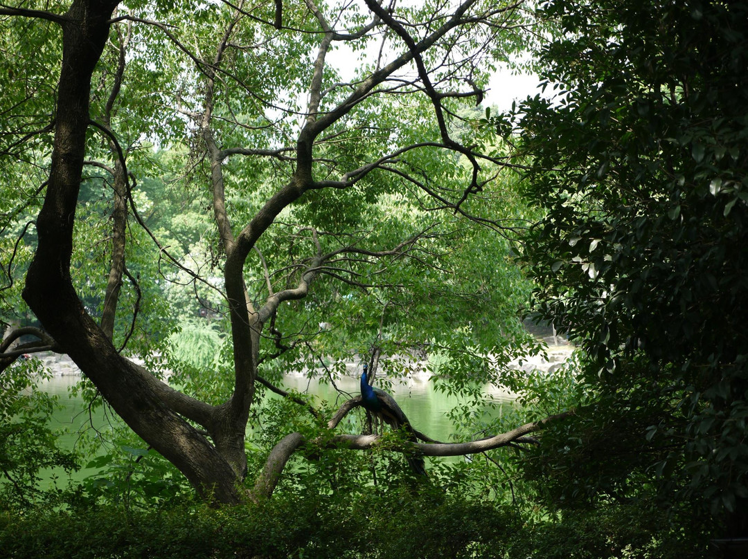 临海东湖-临海市必去景点