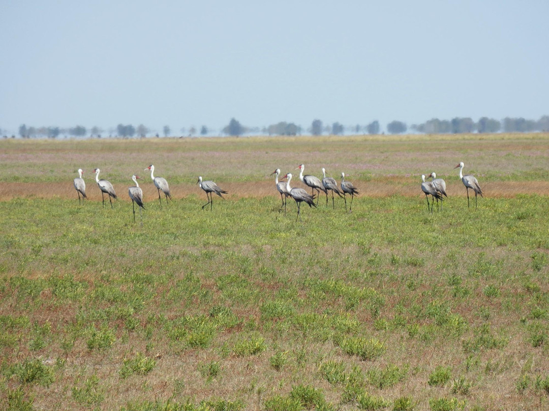 Liuwa Plains-Liuwa Plain National Park必去景点