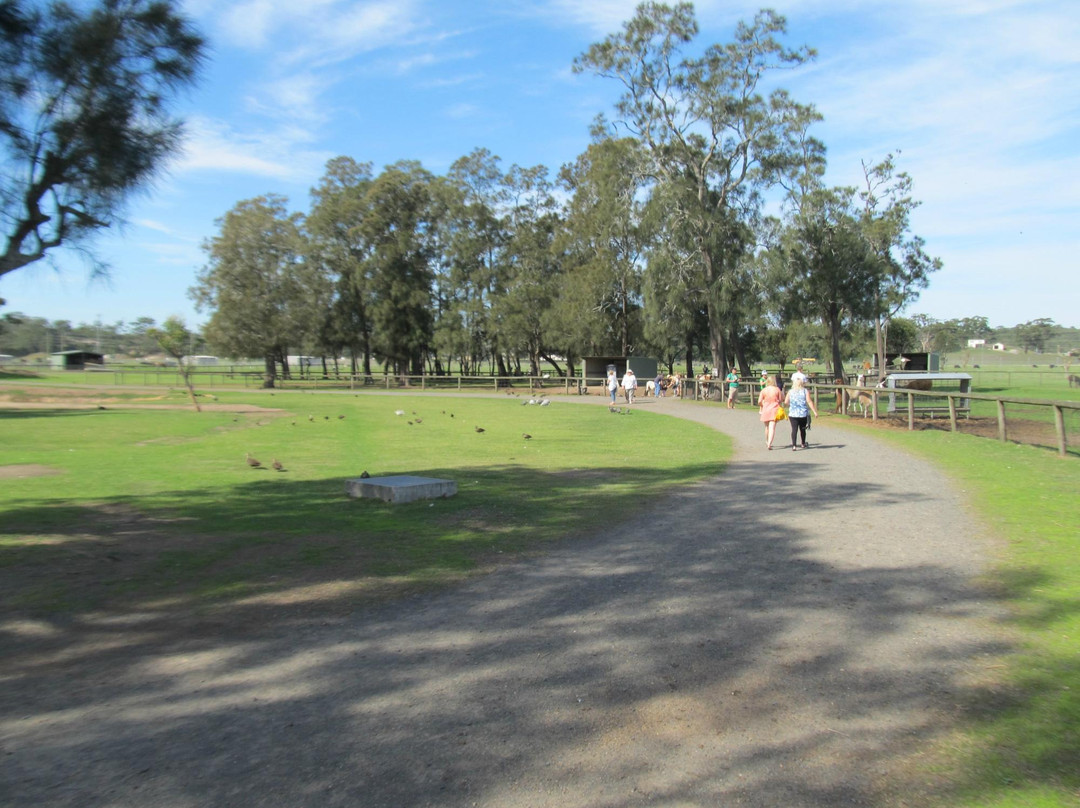 Oakvale Wildlife Park景点图片