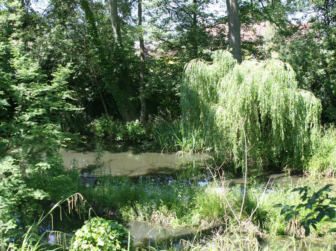 Maidford B & B主图