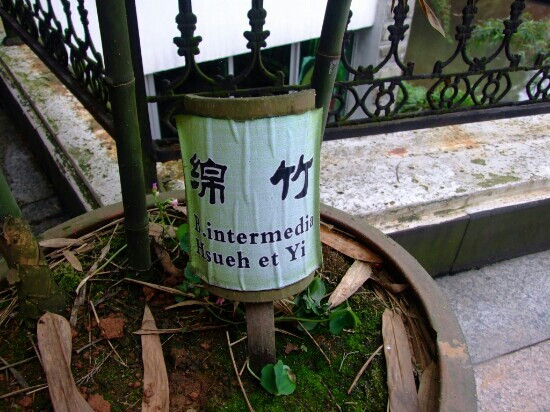 蜀南竹海博物馆景点图片