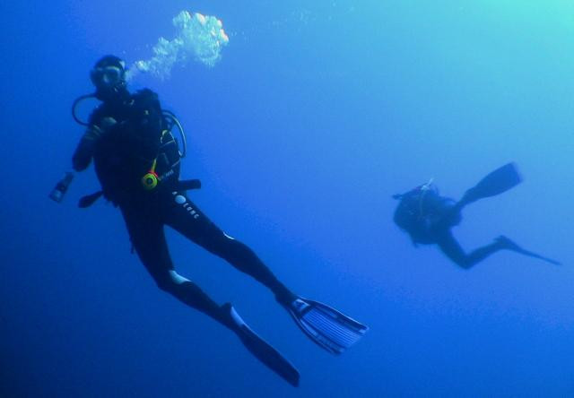 Flores Dive Center-Faja Grande必去景点