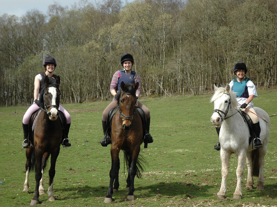 Crieff Hydro Riding Centre-Crieff必去景点