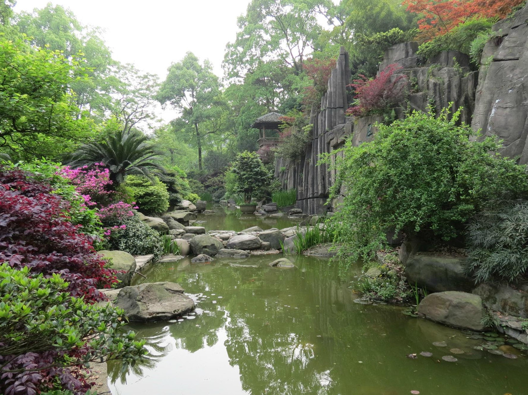南山植物园景点图片