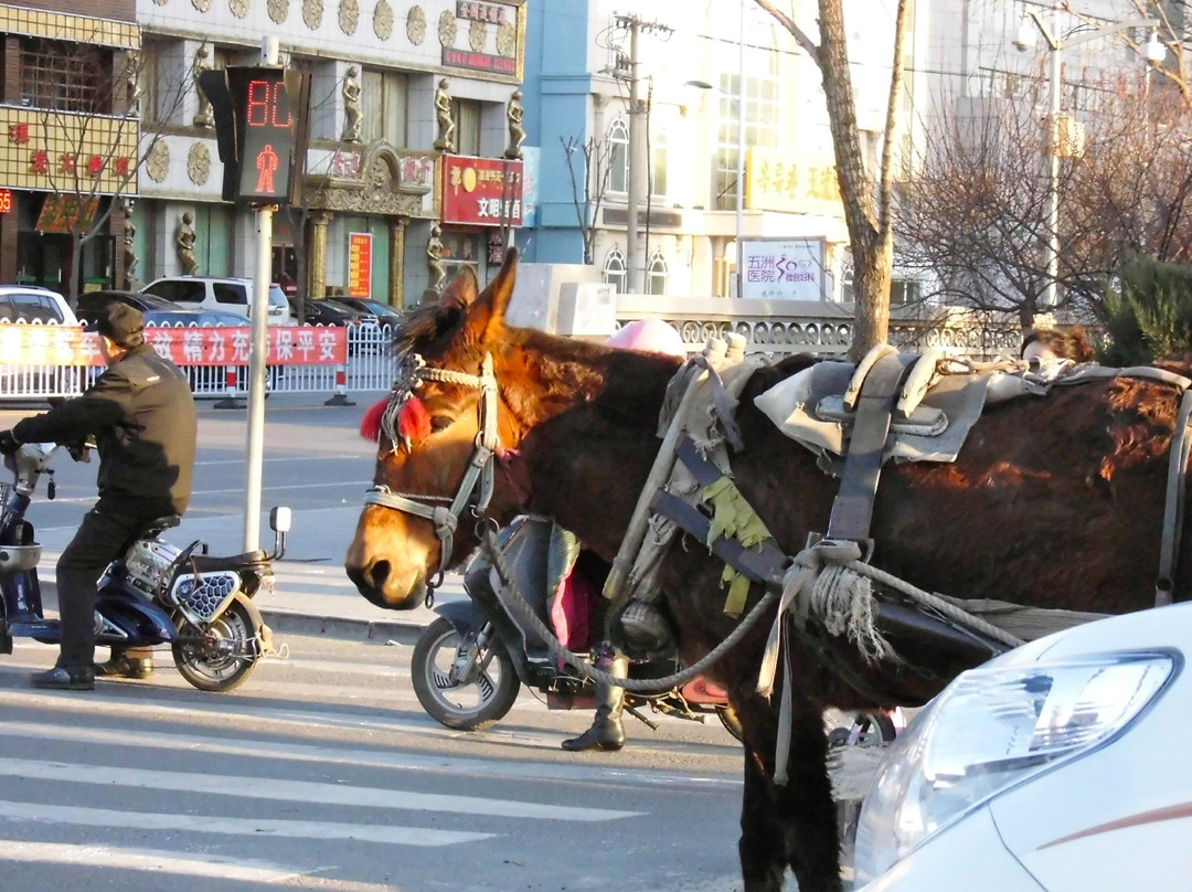 通辽市餐馆和美食-广发草原蒙古部落(滨河大街店)