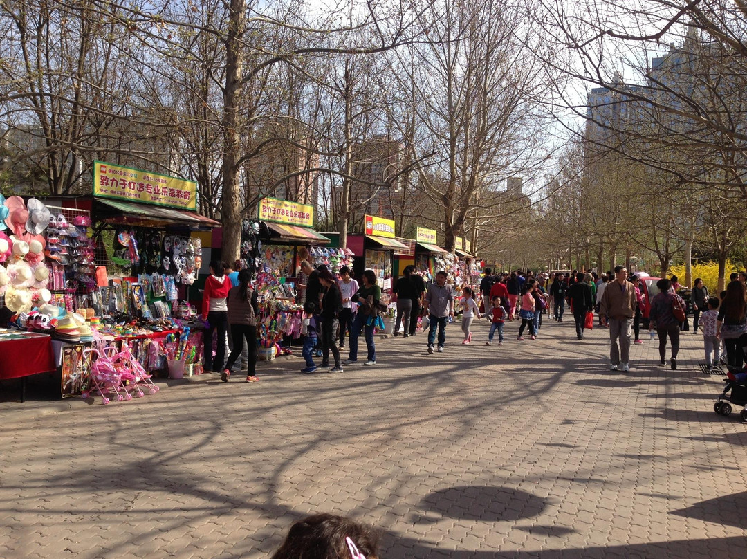 朝阳公园-北京市必去景点