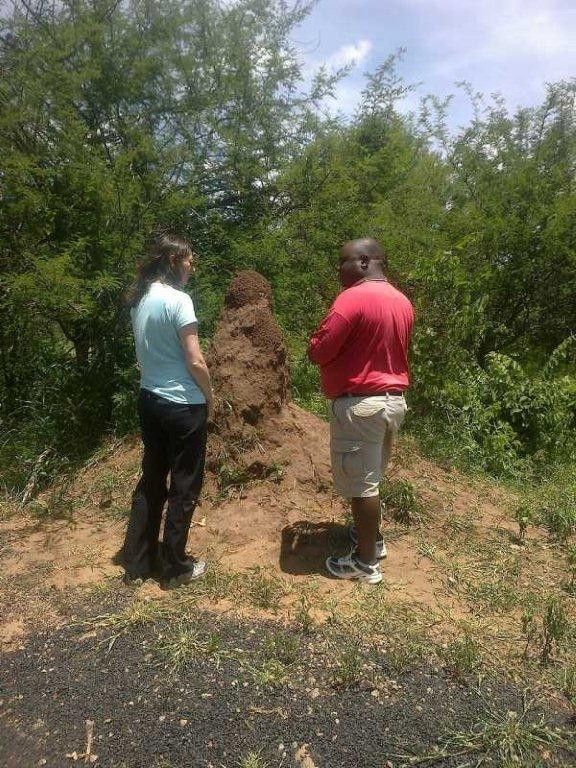 Wenhau Safaris & Tours