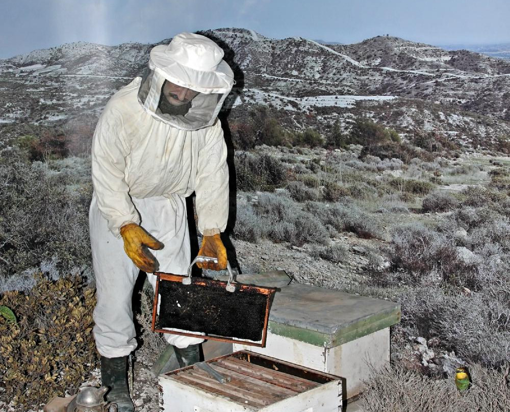 Environmental Information Centre of Larnaka Mountainous Areas-Skarinou必去景点