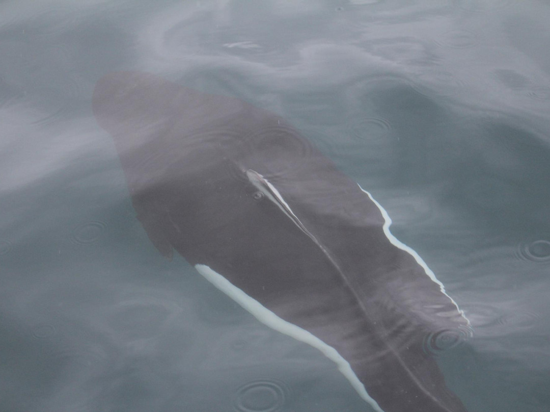 基奈峡湾巡航之旅-苏厄德必去景点