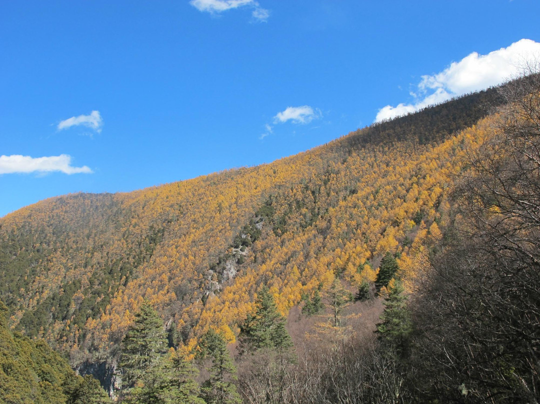 碧塔海自然保护区-香格里拉县必去景点