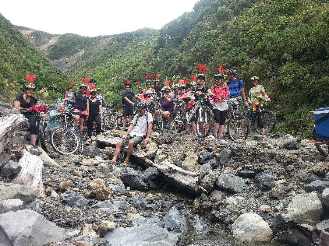 Green Jersey Explorer Tours Limited景点图片