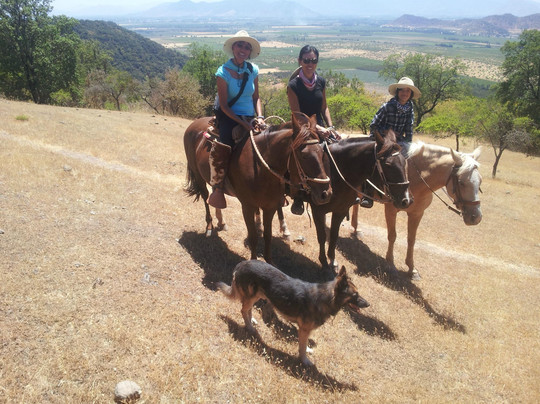 Horseback Rides Santa Cruz-圣克鲁斯必去景点