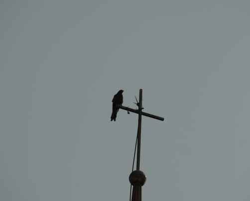 Saint Patrick's Cathedral-卡拉奇必去景点