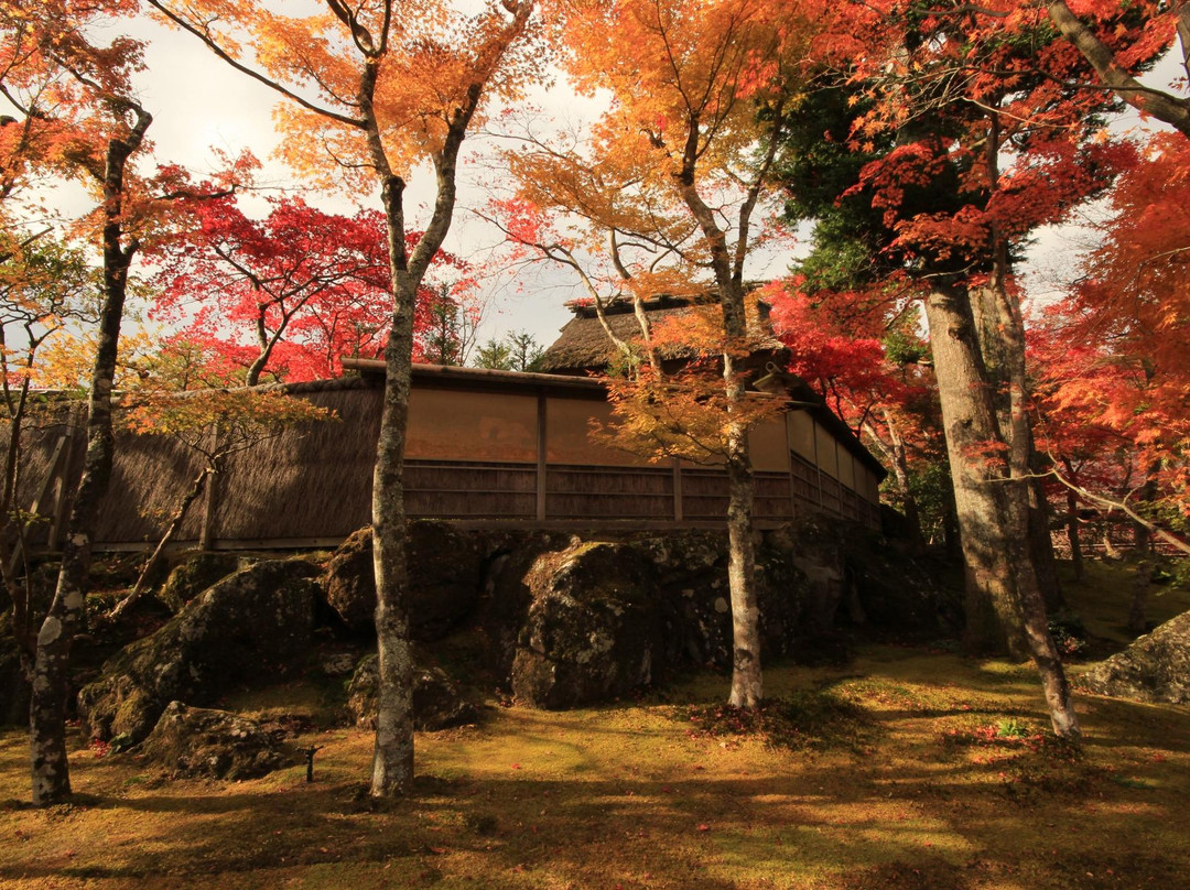 箱根美术馆-箱根町必去景点