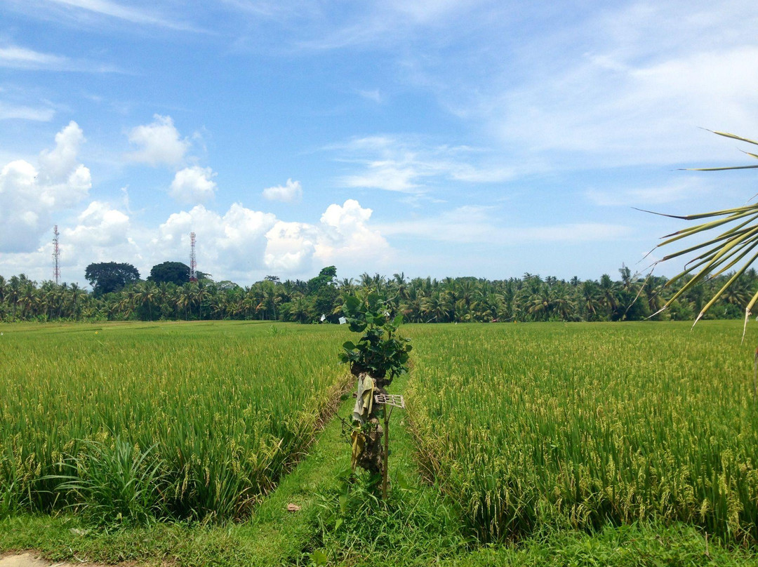 德耶约住宿加早餐酒店主图