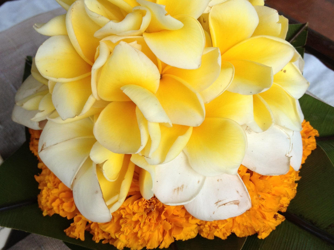 Safe Bali Driver (Ketut Suwenda) - Day Tours-登巴萨必去景点