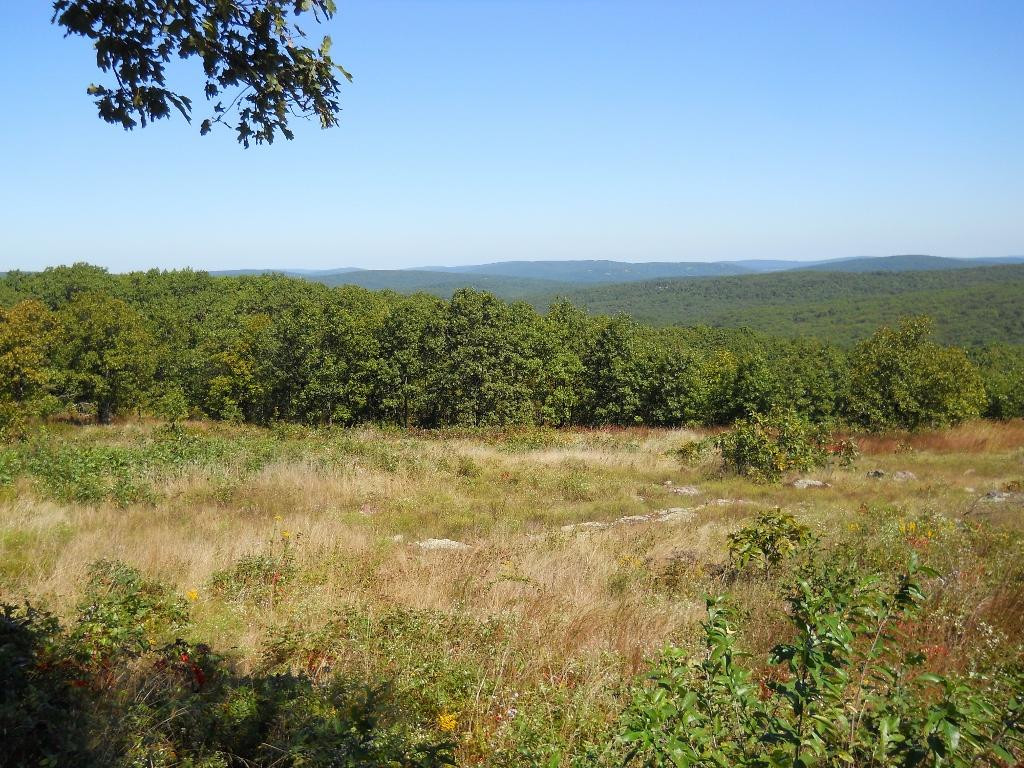 Taum Sauk Mountain State Park景点图片