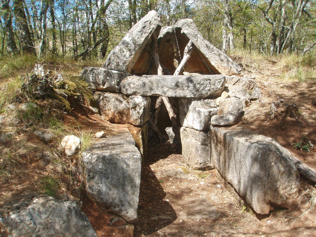 Strandja Nature Park景点图片